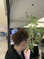 -侨治发型