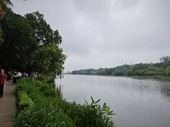 -南国桃园旅游度假区