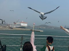 -海驴岛(荣成市)