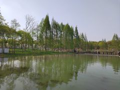 -渤公岛生态公园