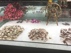 -巴犀烧烤(新崇光店)