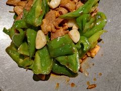 -前海沿·青岛菜(大拇指广场石老人店)