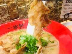 寿喜烧豚骨拉面-一豚轩·烧鸟·豚骨拉面(五四路店)