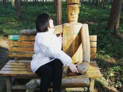 -黄海国家森林公园