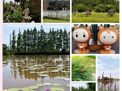 -上海长兴岛郊野公园