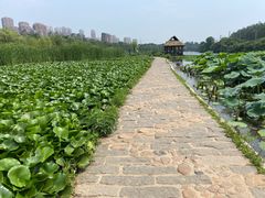 -前关湿地公园