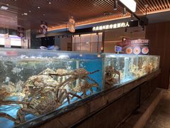 -紫阳海鲜楼·传承闽味(长乐路总店)