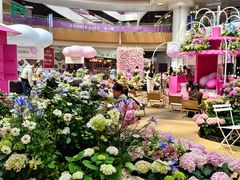 -上海长风大悦城