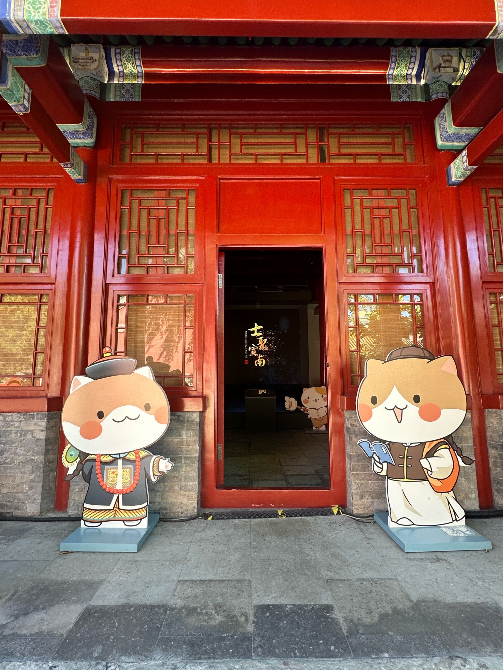 在北京,找到了传说中的猫猫博物馆