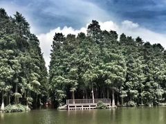 -溱湖国家湿地公园