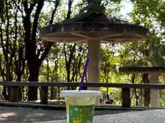 -合肥野生动物园