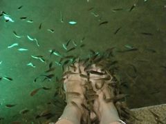 -宝丽金大酒店·洗浴中心