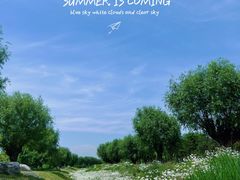 -汉长安城未央宫国家考古遗址公园