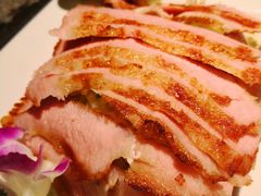 -新白鹿餐厅(松江开元地中海店)