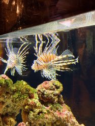 -Zoolung Zoolung动物主题公园(海信广场店)