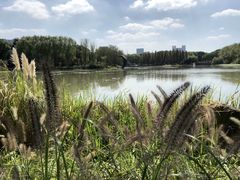 -昆山城市生态森林公园