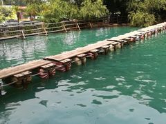 -大鹅岛绿色生态美食园