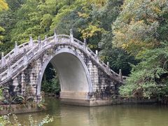 -深圳仙湖植物园