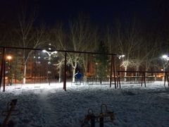 -金刚山烧烤(红旗大街店)