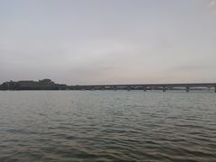-江东鲈鱼馆(正江东)