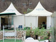 -蓝天飞扬飞行基地