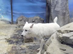 -梦幻海洋王国(吾悦广场张家港店)