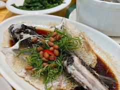 香葱淋鲈鱼-壹厨(德政中路店)