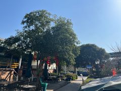 -听风阁农家私房菜茶楼(龙坞店)