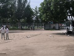 -长白岛森林公园