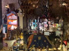-雪灵魔法世界SHELLY’S TAROT(大良桂畔里店)