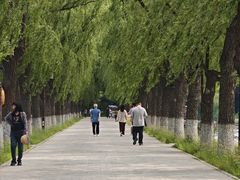 -北陵公园
