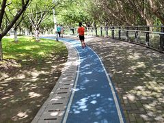 -苏州河梦清园环保主题公园