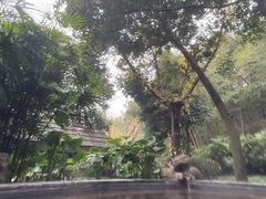 -融汇温泉