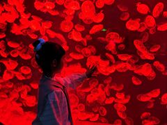 -沈阳海洋探索中心