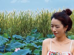 -前关湿地公园
