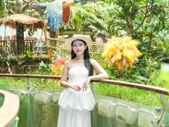 -正佳雨林生态植物园