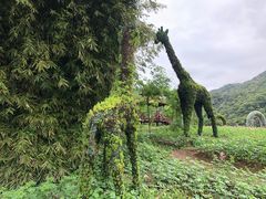 -广州市石门国家森林公园