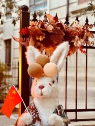 -米莱摄影写真(五大道别墅店)