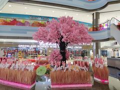 -椰小鸡·琼州糟粕醋·火锅(美兰缤纷城店)