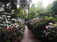 -金水泊山庄·花椒鸡(铁山坪店)