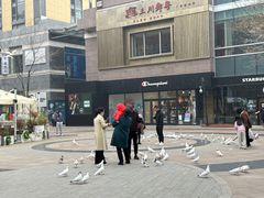 -中粮·祥云小镇