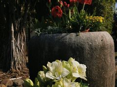 -厦门园林博览苑