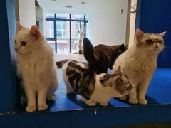 -力力渔港涉外店