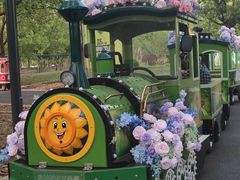 -昆山城市生态森林公园