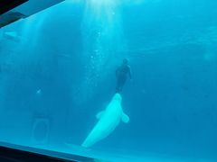 -石林冰雪海洋世界