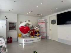 -喜多萌中农锦绣动物医院24H·猫科·牙科MRI·CT