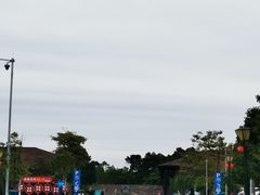 -广东惠东海龟国家级自然保护区