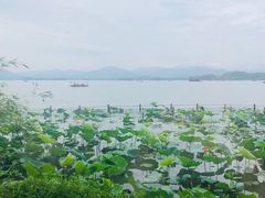 -湖畔居茶楼(湖滨店)