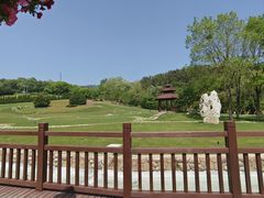 -棒棰岛宾馆景区