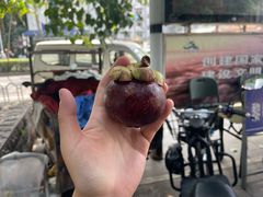 -西双版纳集贸市场